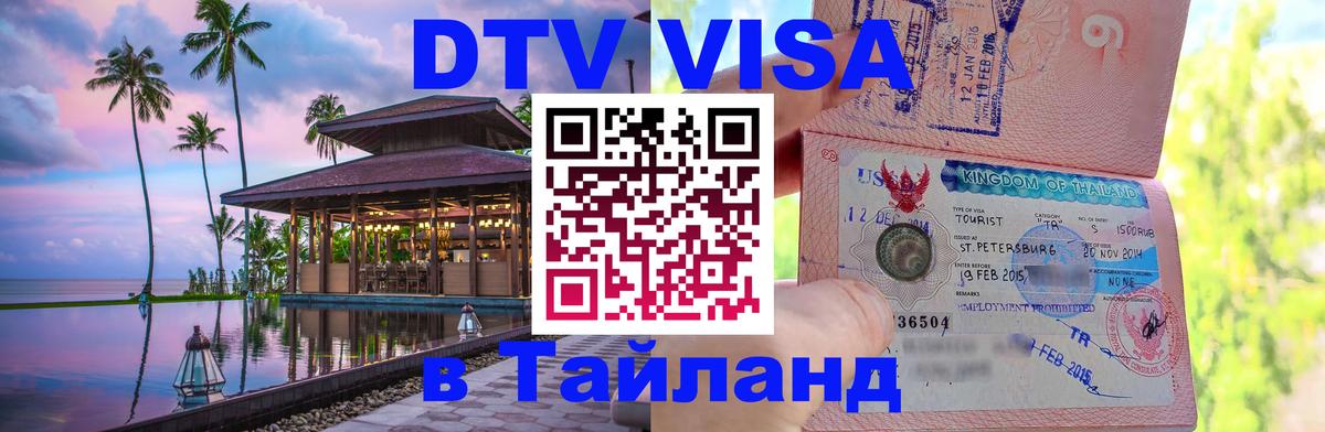 Сколько стоит DTV виза — актуальные цены, оформление даже без документов - Норильск 